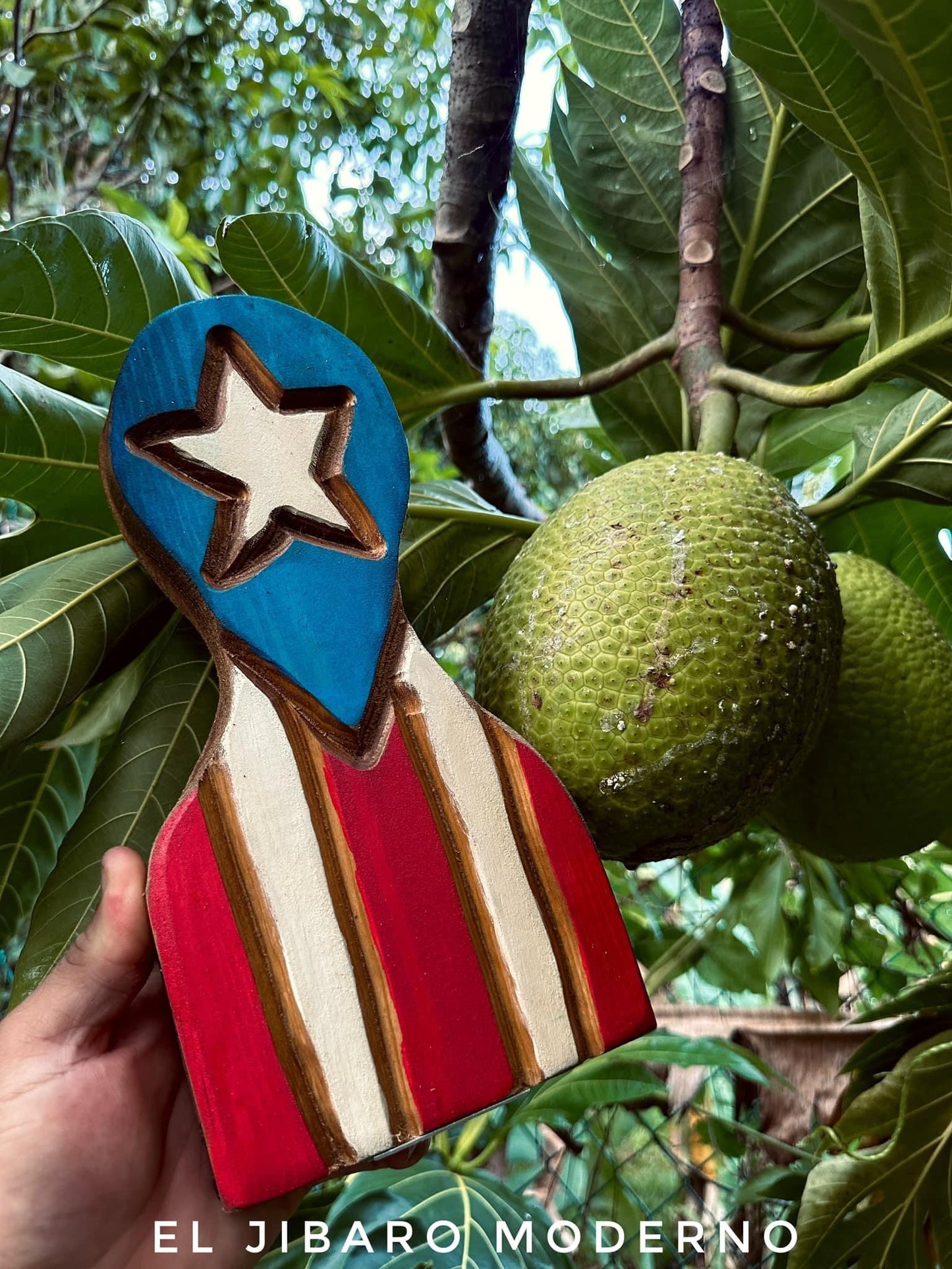 TOSTONERA DE BANDERA DE PUERTO RICO MEDIANA 3-4 TOSTONES ENVIO INCLUIDO